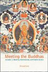Book cover of Meeting the Buddhas