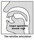 Retroflex articulation diagram