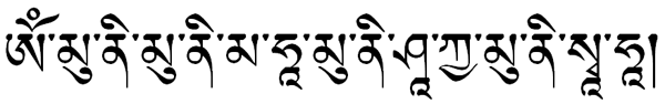 Shakyamuni mantra in the Tibetan Uchen script